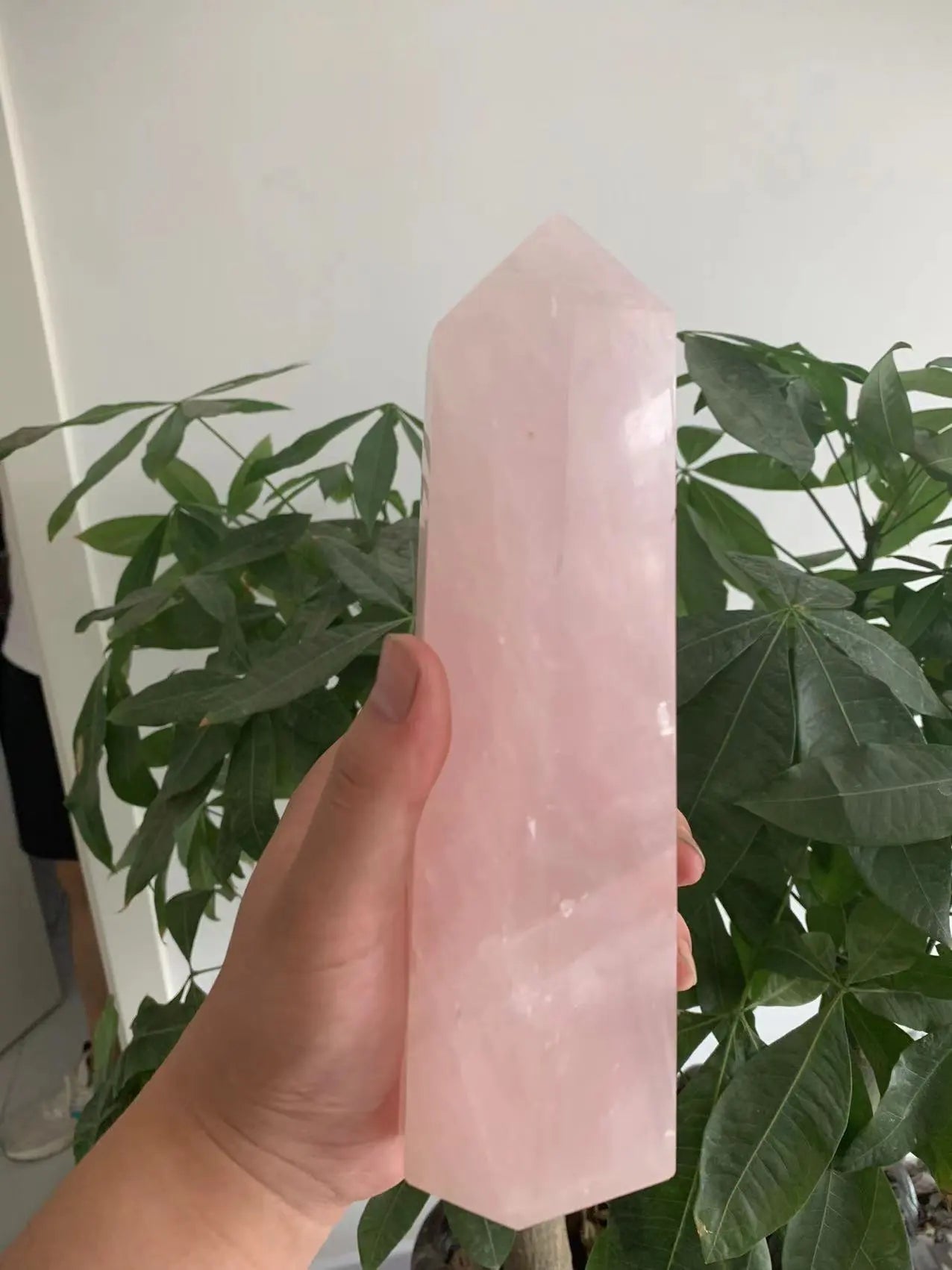 47052055216423|47052055249191|47052055281959|47052055314727|47052055347495|47052055380263|47052055413031